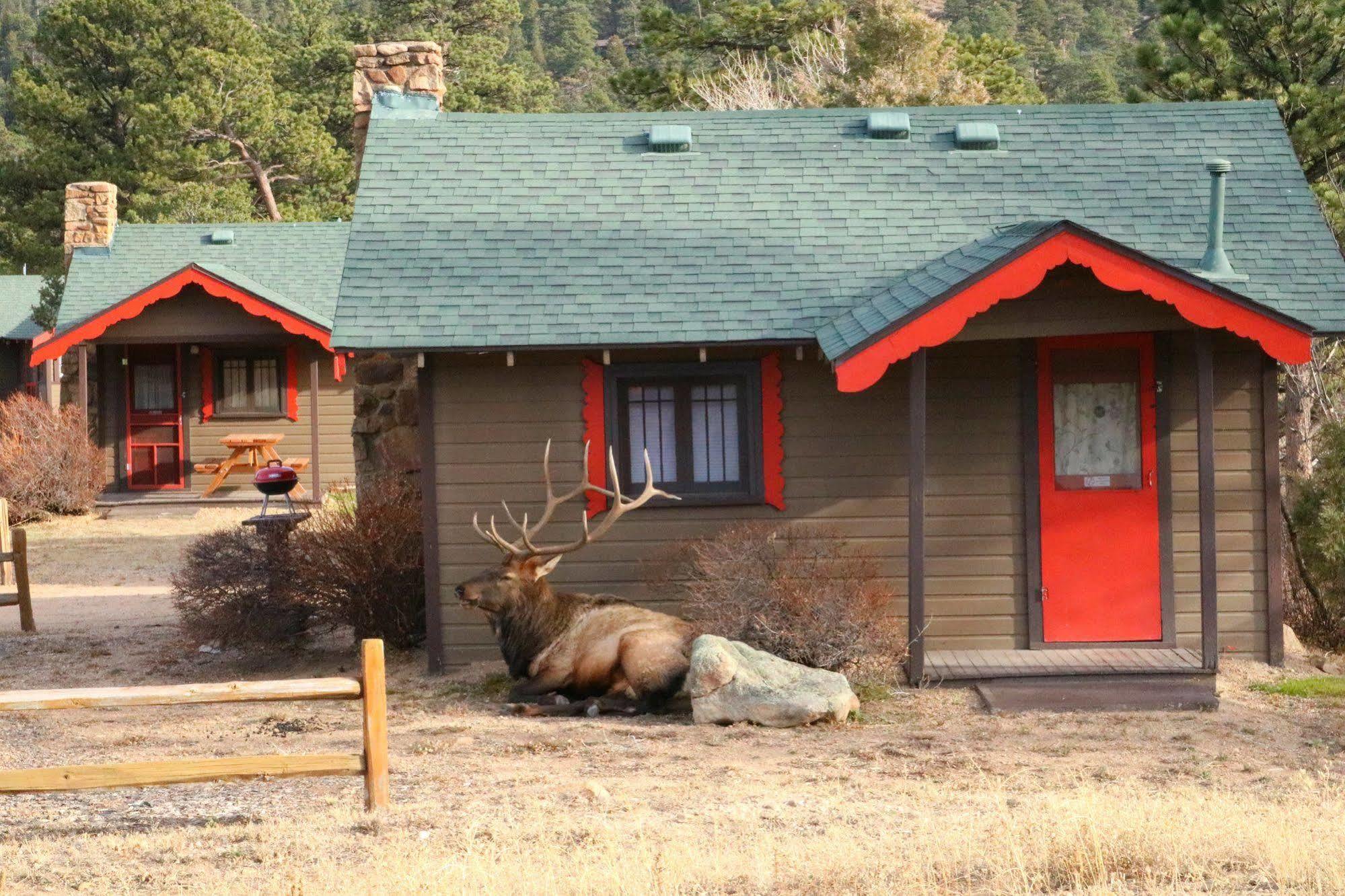 Tiny Town Cabins Estes Park Kültér fotó